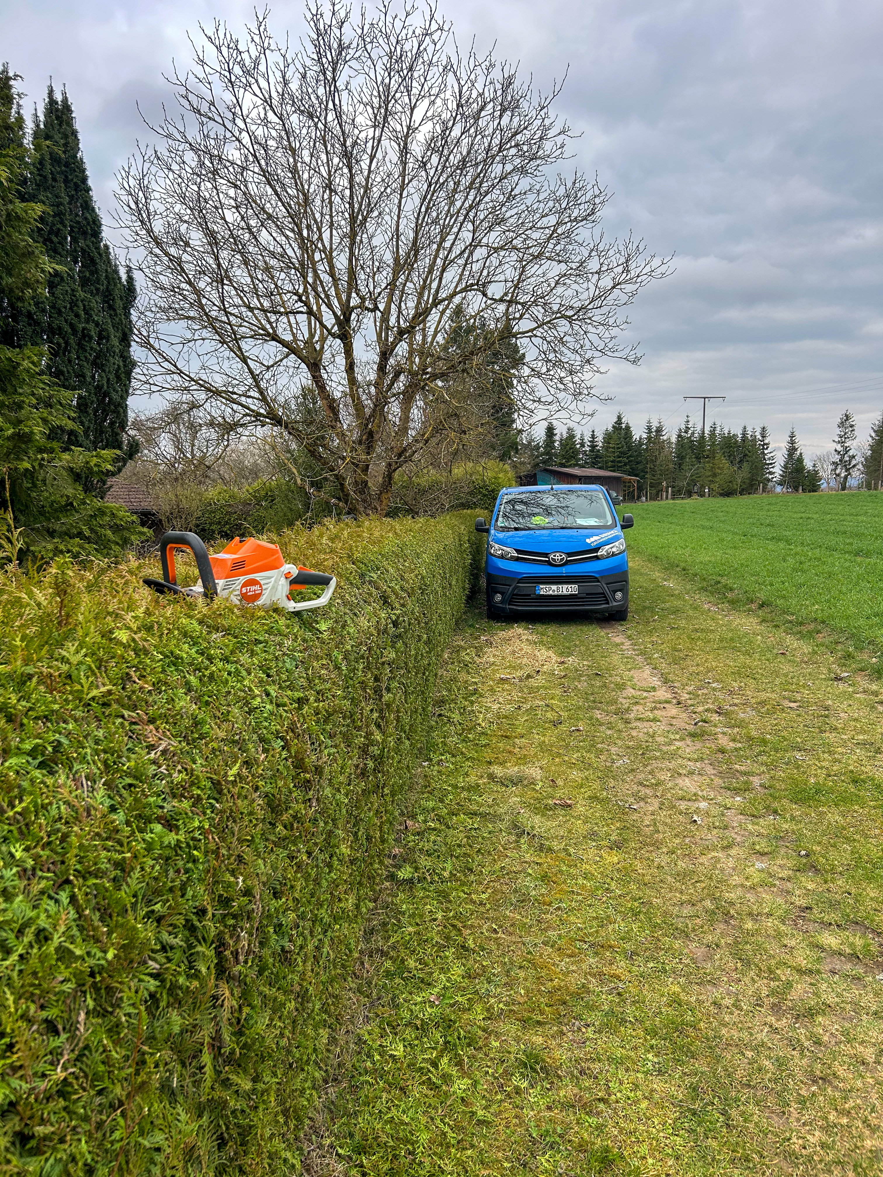 Gartenpflege – Referenzen - Bild 4