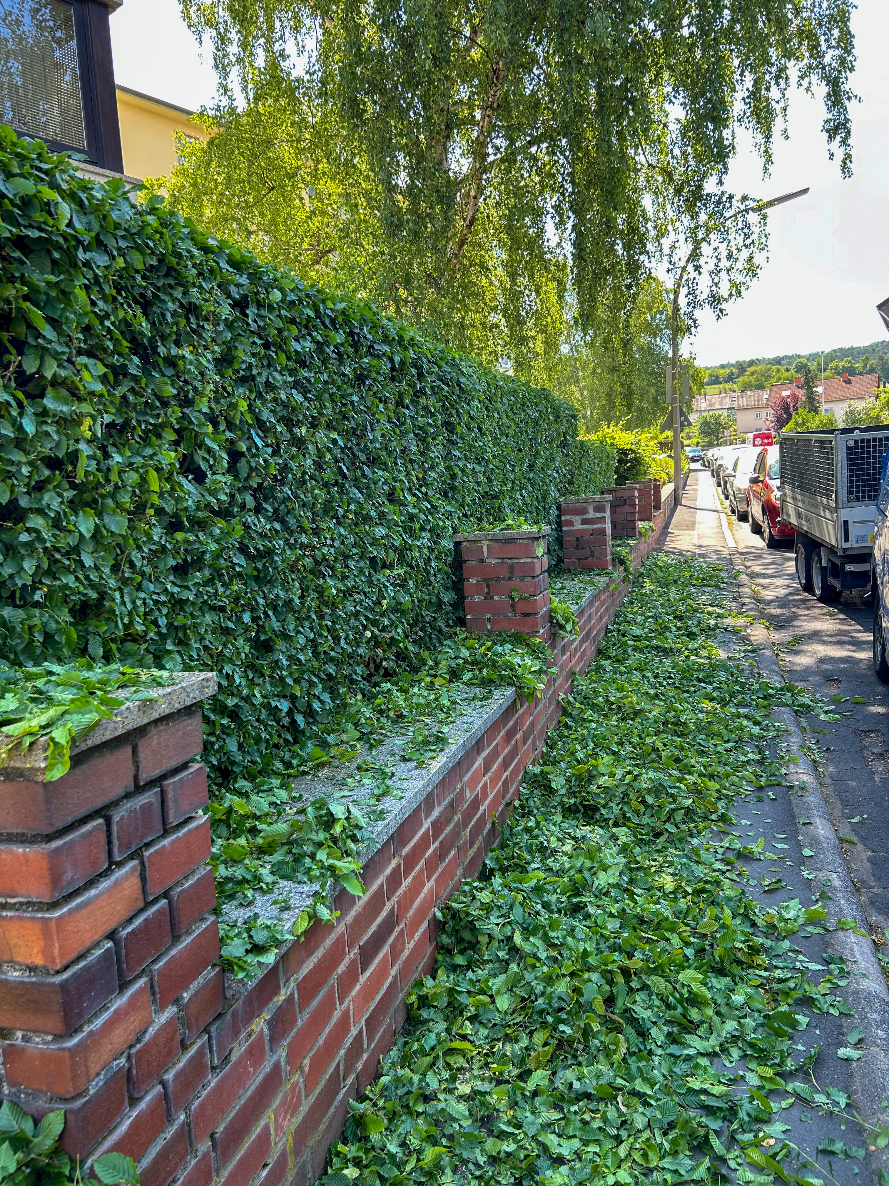 Gartenpflege – Referenzen - Bild 7